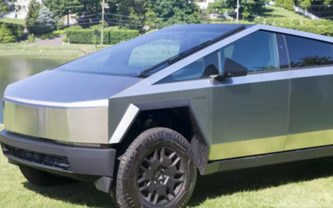 Musk e barbascura | cosa vuol dire fallimento?