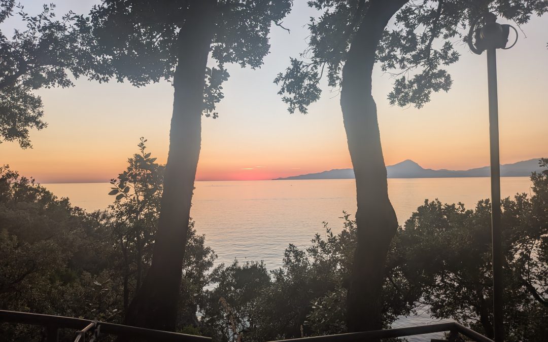 Altruismo | il coaching e l’arte di annullare se stessi