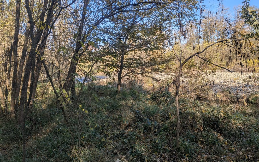 Dietro la zona industriale | Bellezza