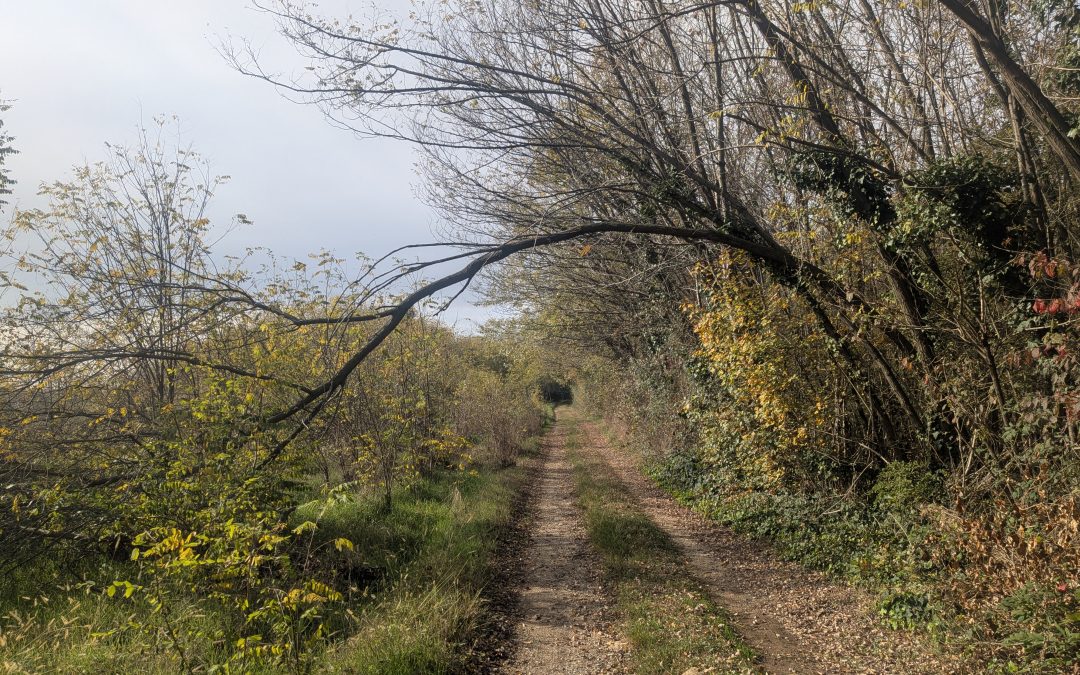 Living my best life | Giornata nuvolosa