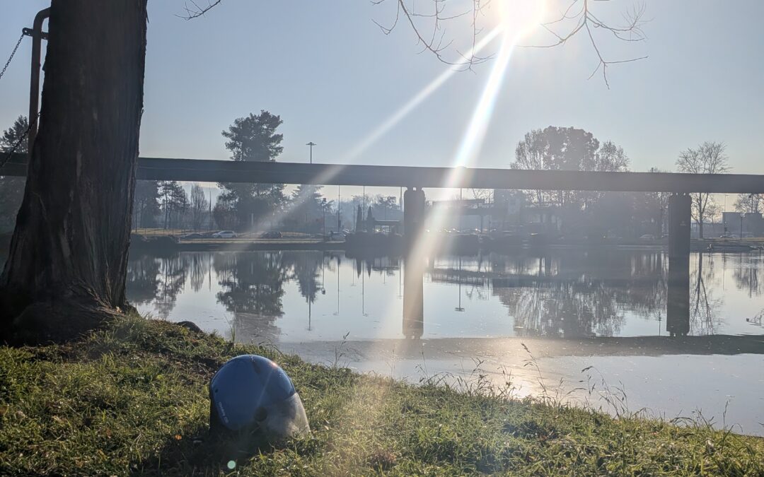 Bilanci | benvenuta la nuova stagione di la mia voce