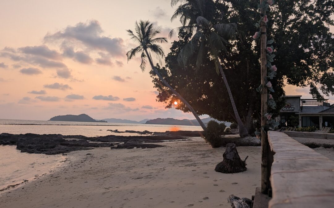 Bilanci | mi manca l’olio extravergine