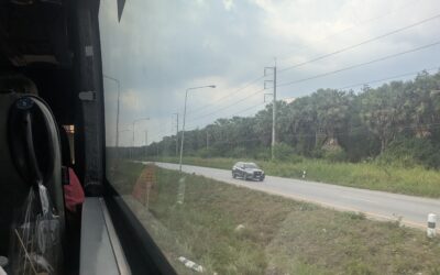 Accalcati | come polli in batteria