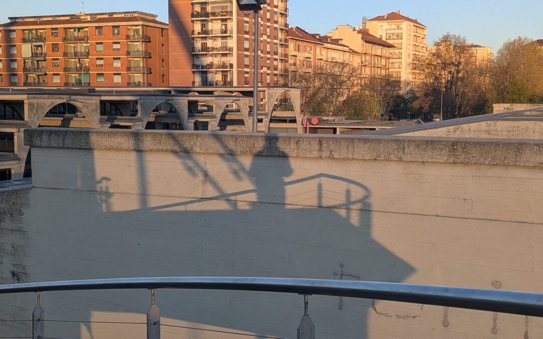 Stordito | Sensazioni del rientro